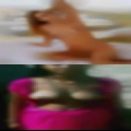 Dogging wife