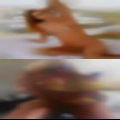 Naked women from Roosevelt