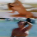 Average everyday horny girls