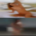 Mastic Beach horny singles