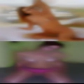 Angelo horny cheating wives