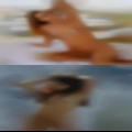 Where women that like cock