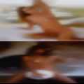 Naked women Jonesboro