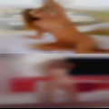 Women fucking nudes Axtell